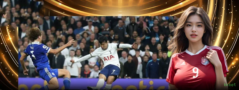 Cassino bkbet app mobile